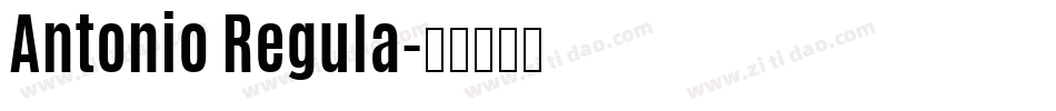 Antonio Regula字体转换